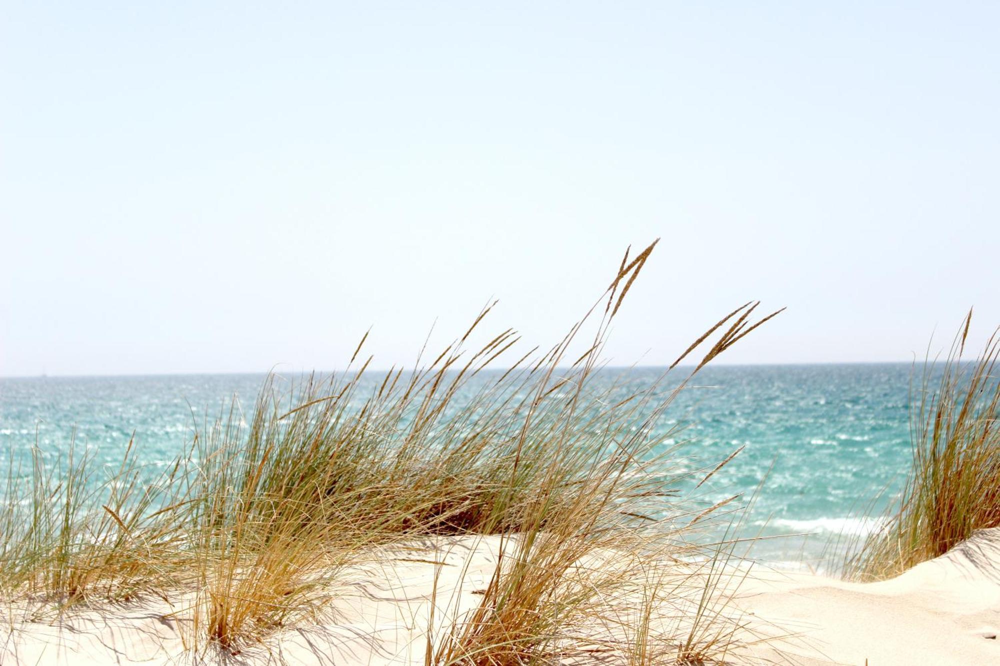 Ocean Sands Beach Inn (Adults Only) St. Augustine Zewnętrze zdjęcie